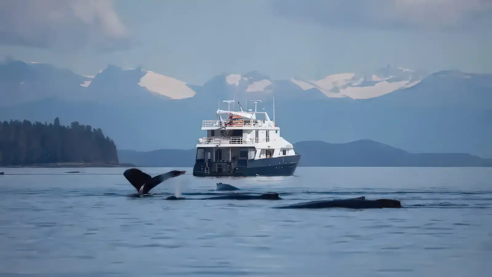UnCruise Adventures Travel Agent